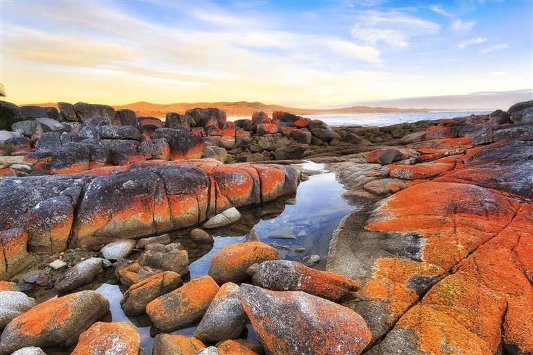 Tasmanien auf eigene Faust